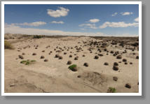 Parque provincial de Ischigualasto - Valle de la Luna - Argentina