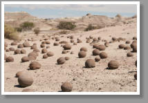 Parque provincial de Ischigualasto - Valle de la Luna - Argentina