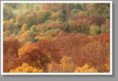 Herbst - Schwbische Alb - Deutschland